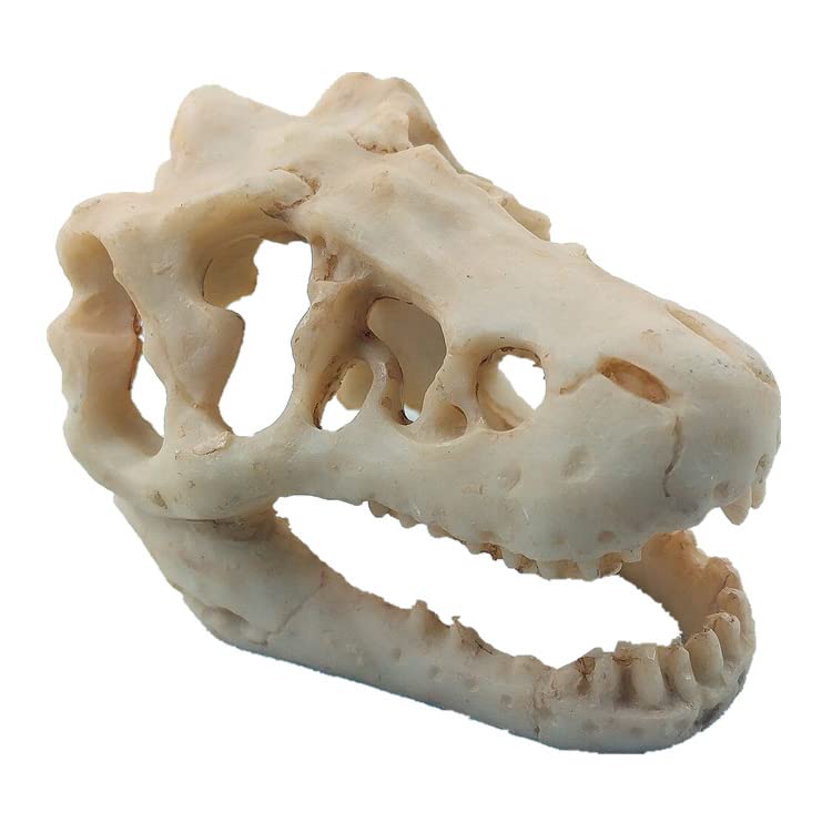 MTGHYARE crane dinosaure résine: cachette naturelle pour petits poissons dans l'aquarium.