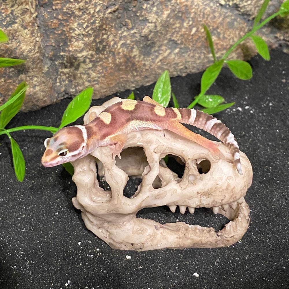 MTGHYARE dinosaure résine: décor réaliste qui enrichit le paysage aquatique.