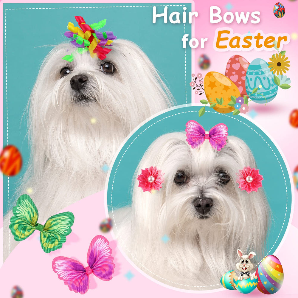 MTLEE: accessoires poil chien multi-styles, variations pour chaque occasion.