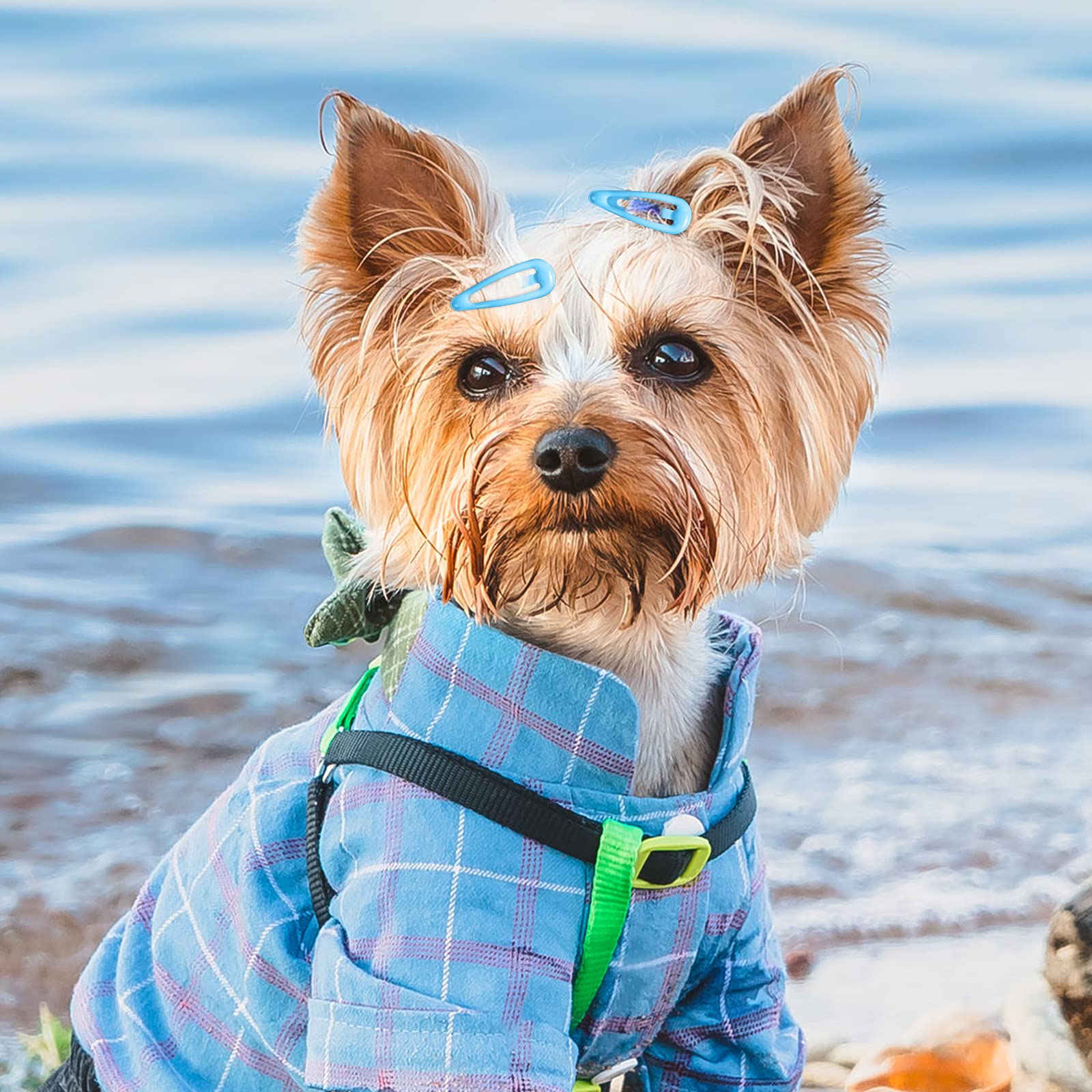 MTLEE pinces poils animaux usage quotidien : sécurité et confort pour les balades.