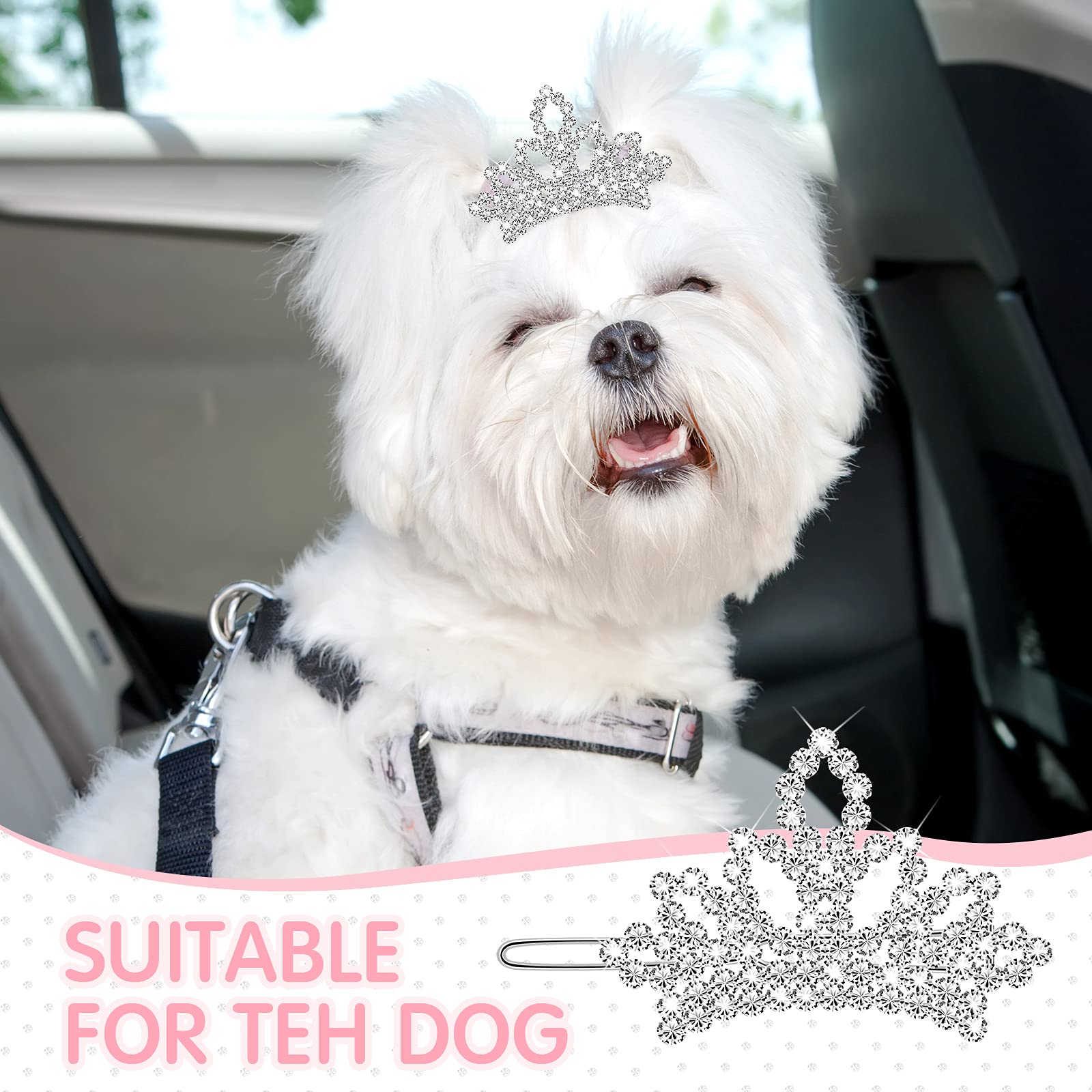 MTLEE tiare chien avec style spire en cristal pour photos