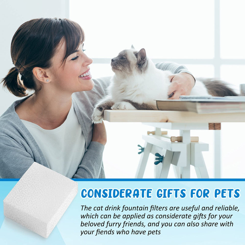 Nettoyage simple des filtres éponge Mudder pour fontaine chat.