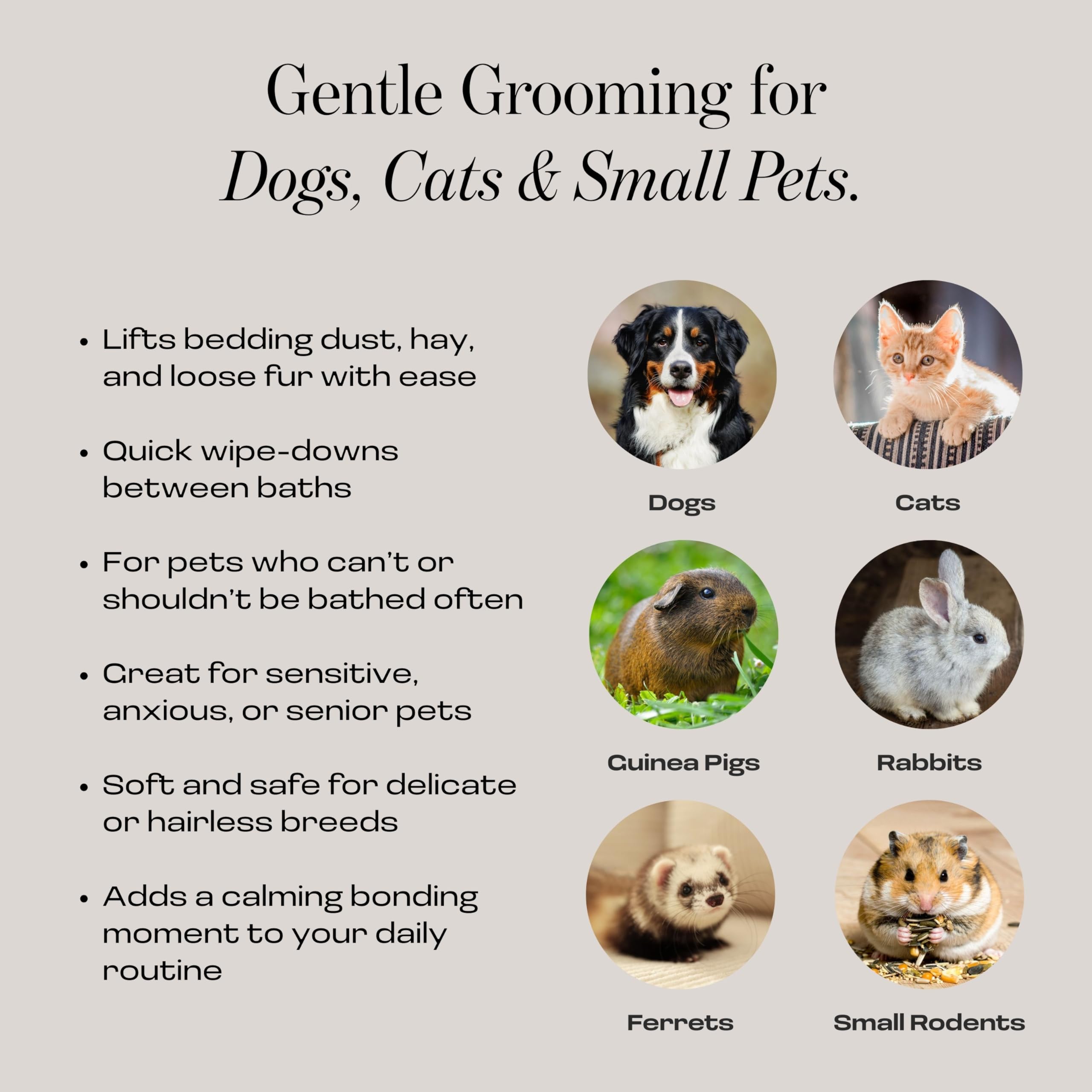 Muddi Pet gant microfibre lavage en machine, utilisation durable.