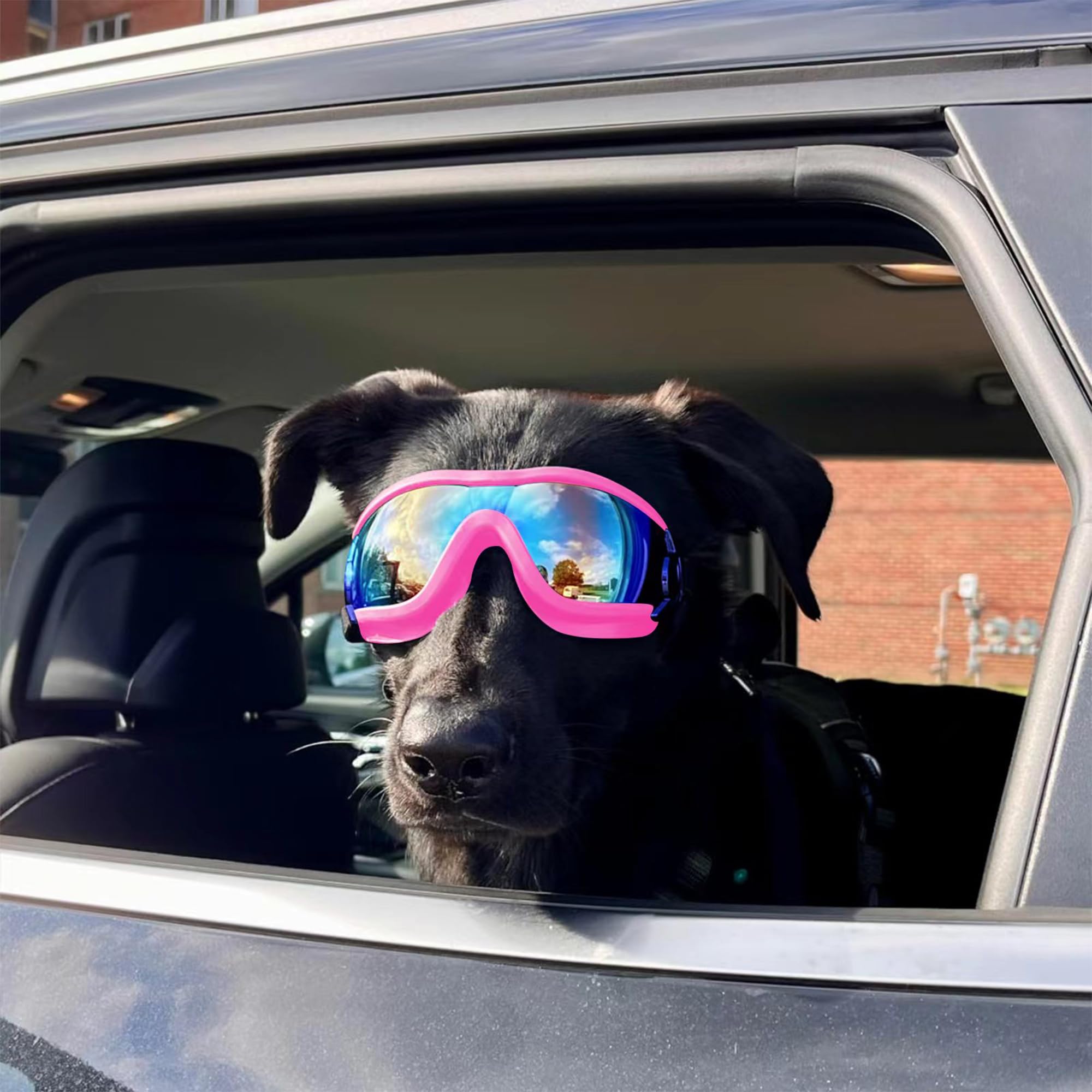 Lunettes Muejjur plage rose pour chien, protection contre la poussière des vacances.