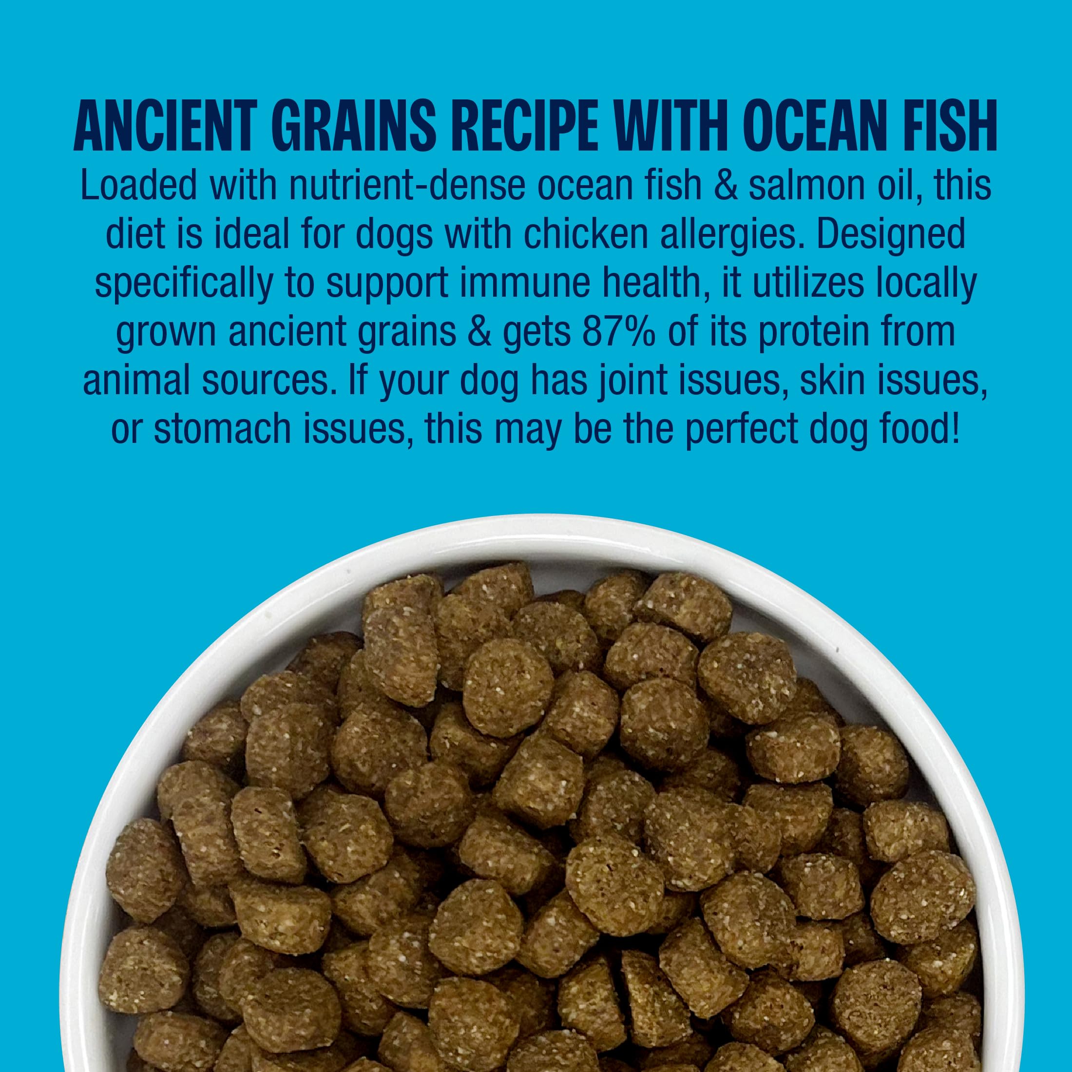 Muenster Ancient Grains Ocean Fish fabrication américaine et savoir-faire familial.