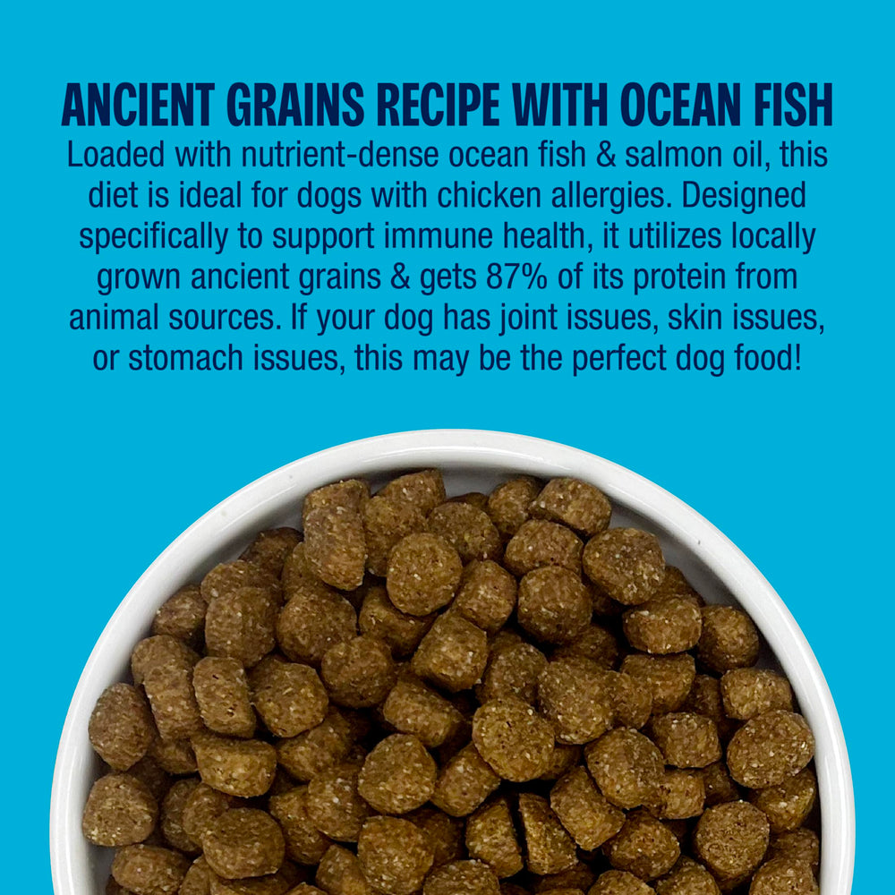 Muenster Ancient Grains Ocean Fish fabrication américaine et savoir-faire familial.