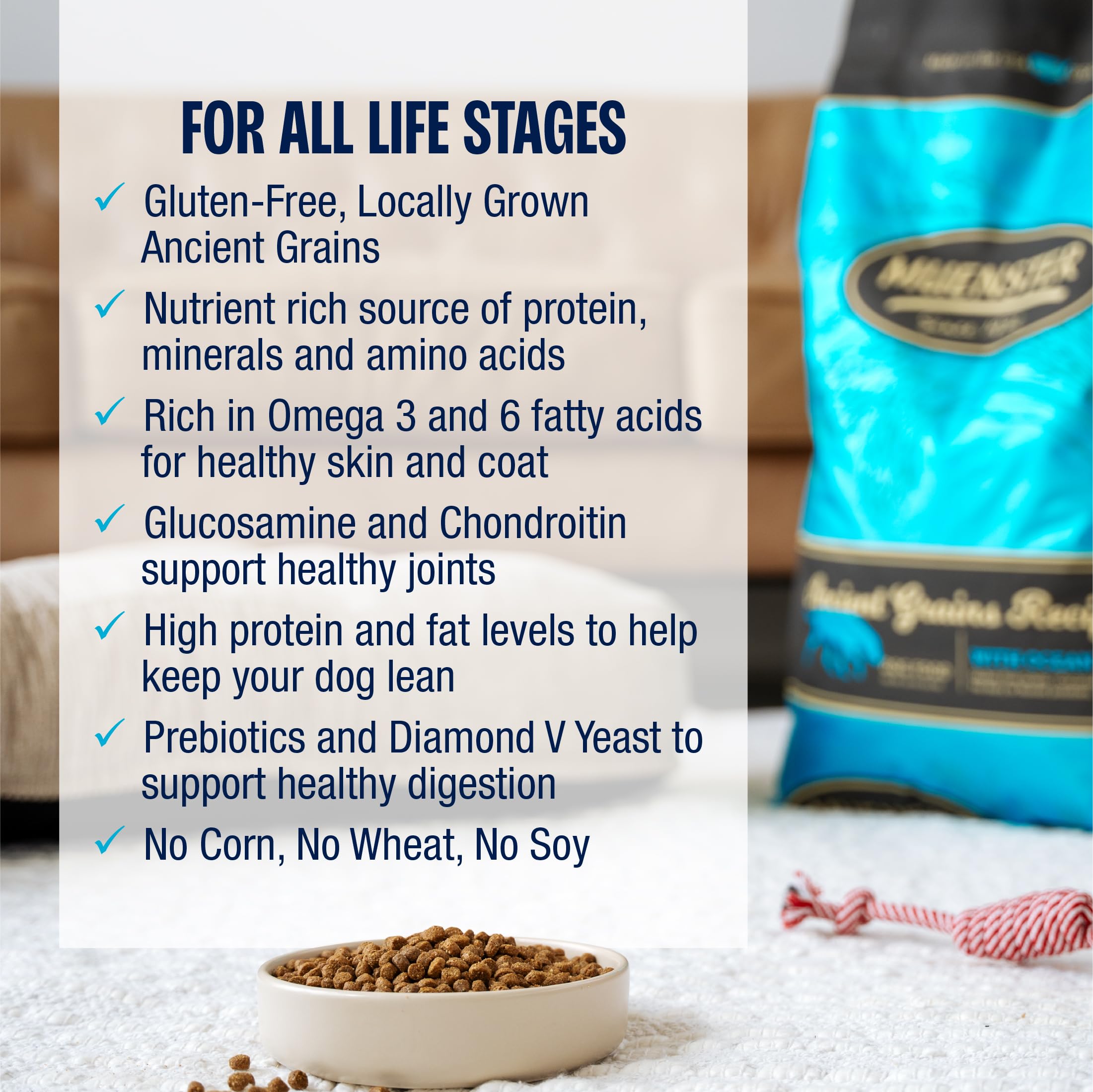 Muenster Ancient Grains Ocean Fish goût riche et texture adaptée pour repas quotidiens.