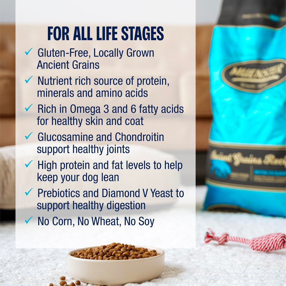 Muenster Ancient Grains Ocean Fish goût riche et texture adaptée pour repas quotidiens.