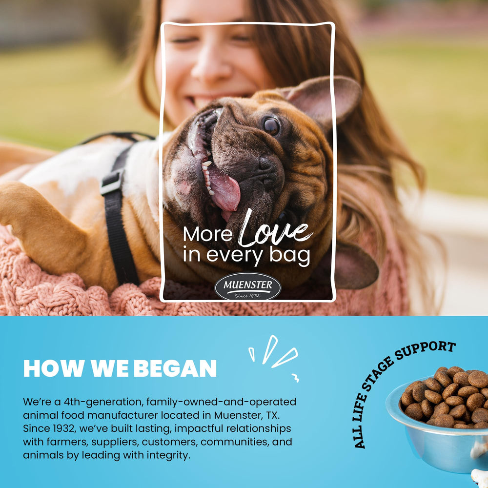 Formule protéinée élevée Muenster, énergie pour chiens actifs.