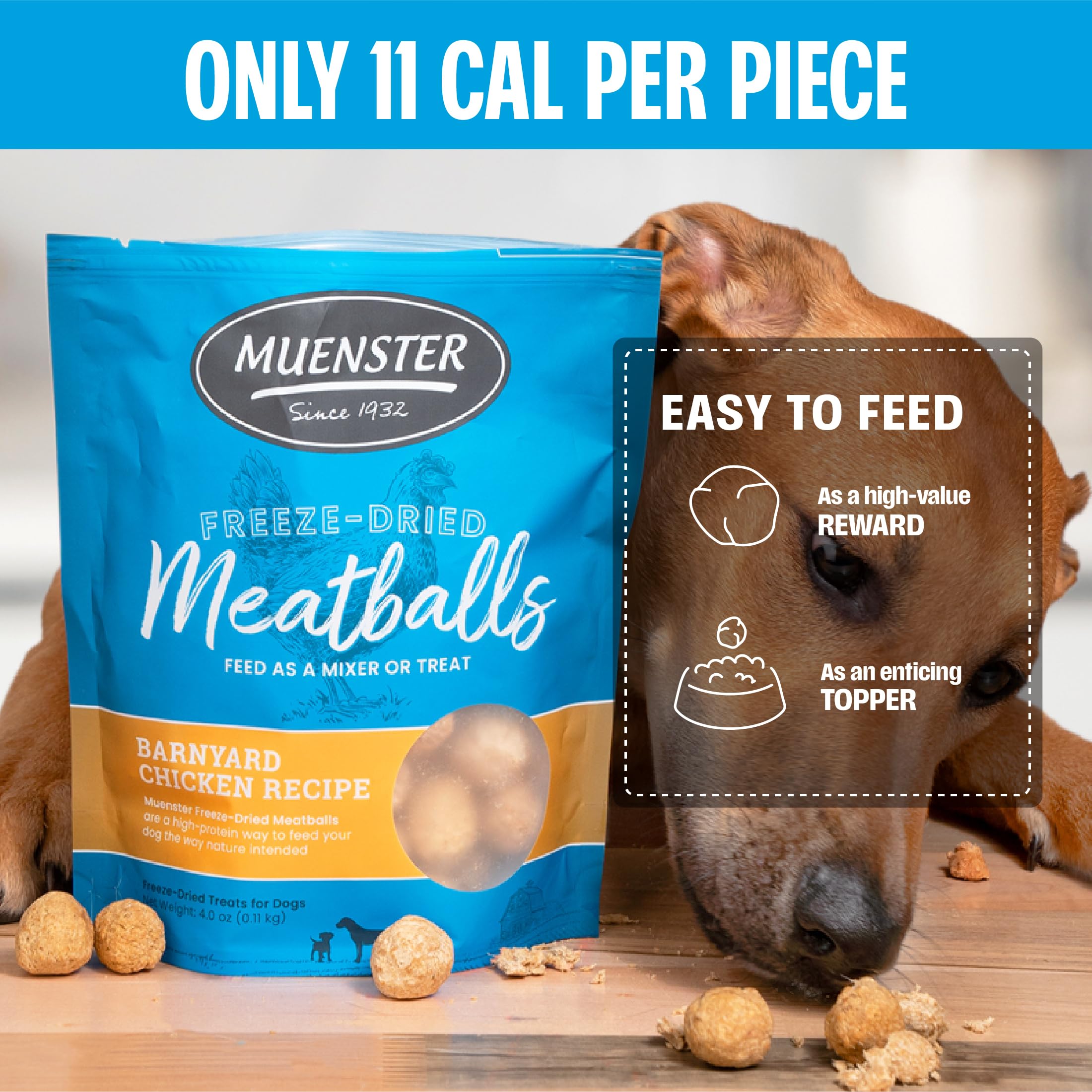 Muenster friandise sans gluten, adaptée aux chiens sensibles.