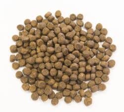 Muenster pour toutes tailles de chien et toutes étapes de vie.