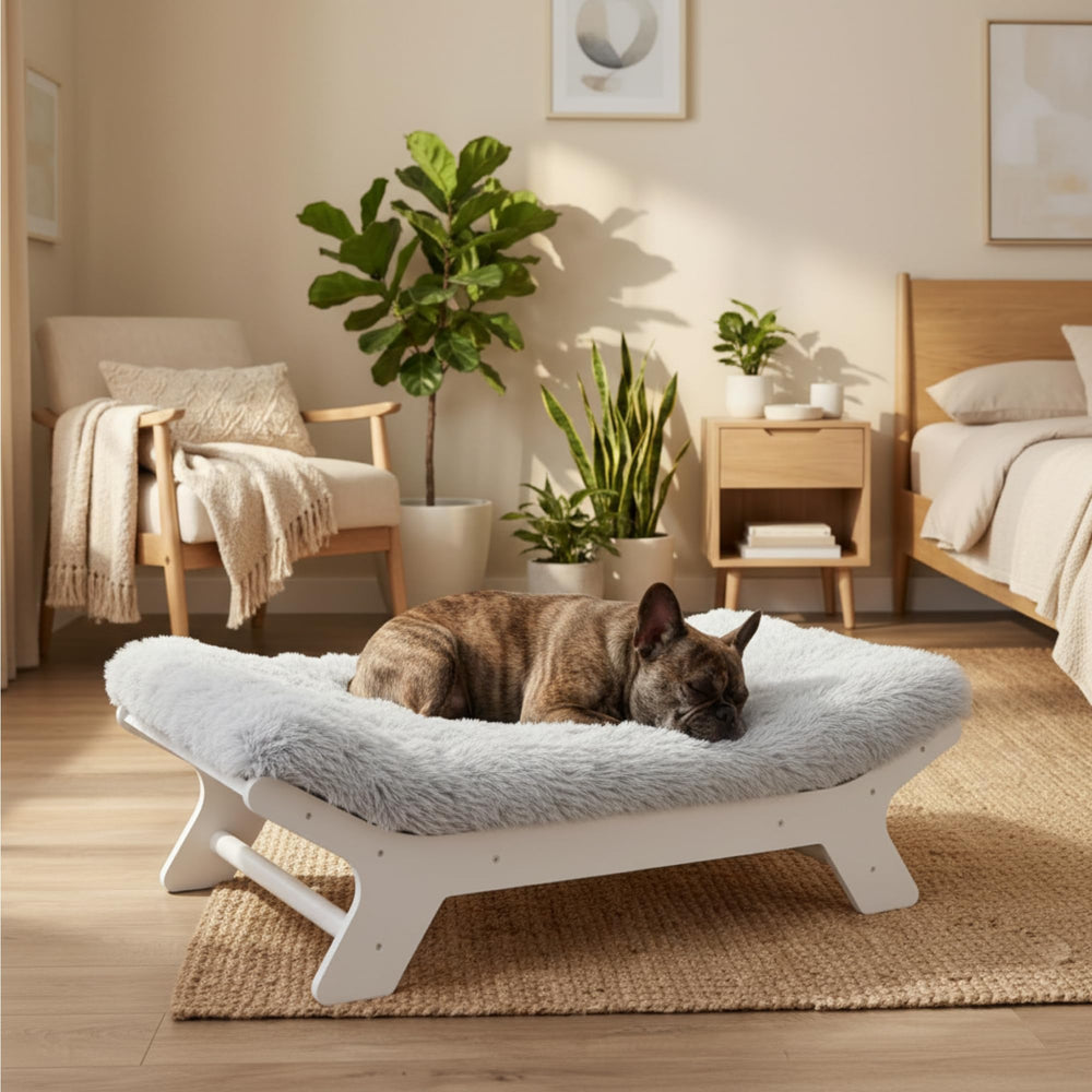 Muihood lit chiens: utilisation confortable et durable au quotidien
