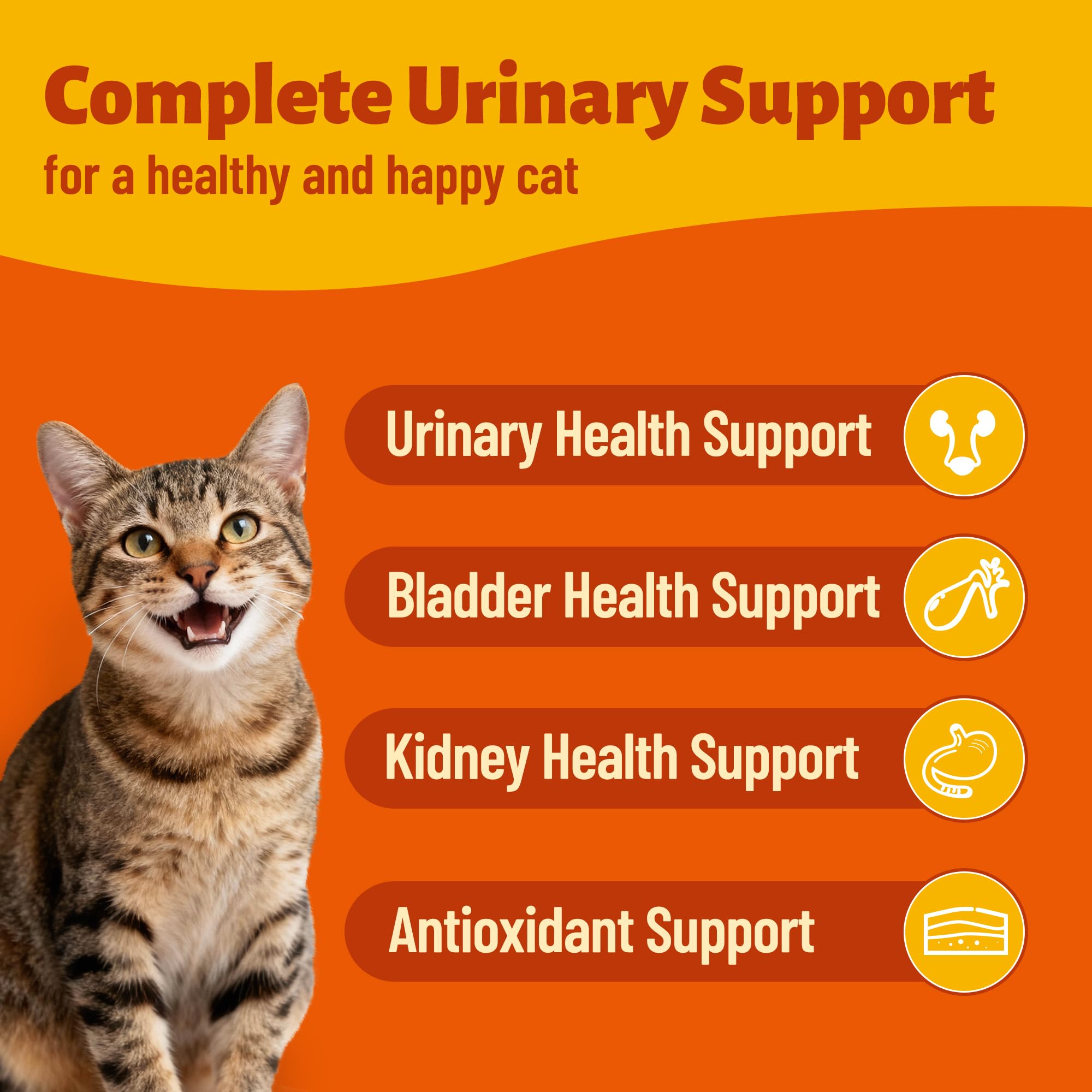 Soutien urinaire et rénal pour chat: formule naturelle et douce.