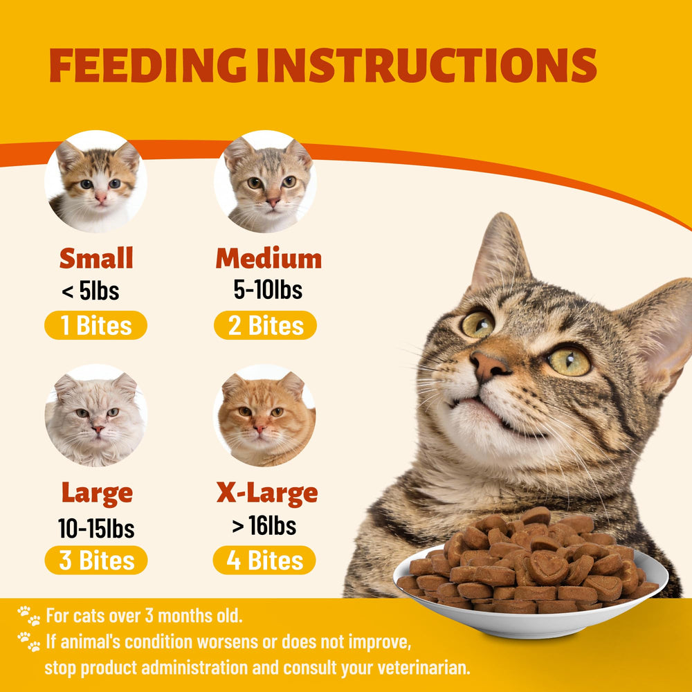 Idéal pour chats d'intérieur MULTIBITES, soutien quotidien discret.