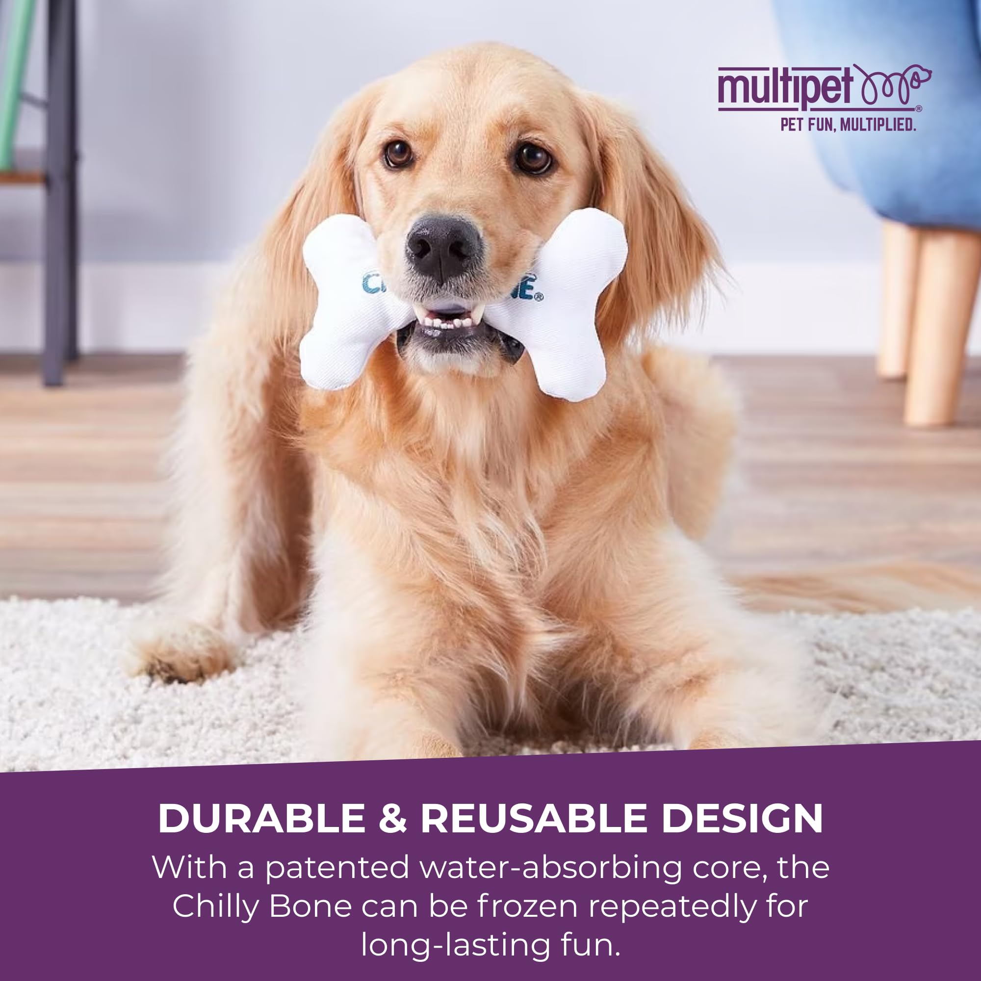 Multipet Chilly Bone: conseils de supervision et sécurité du jouet