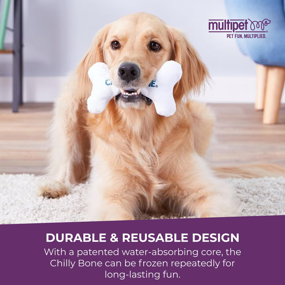 Multipet Chilly Bone: conseils de supervision et sécurité du jouet