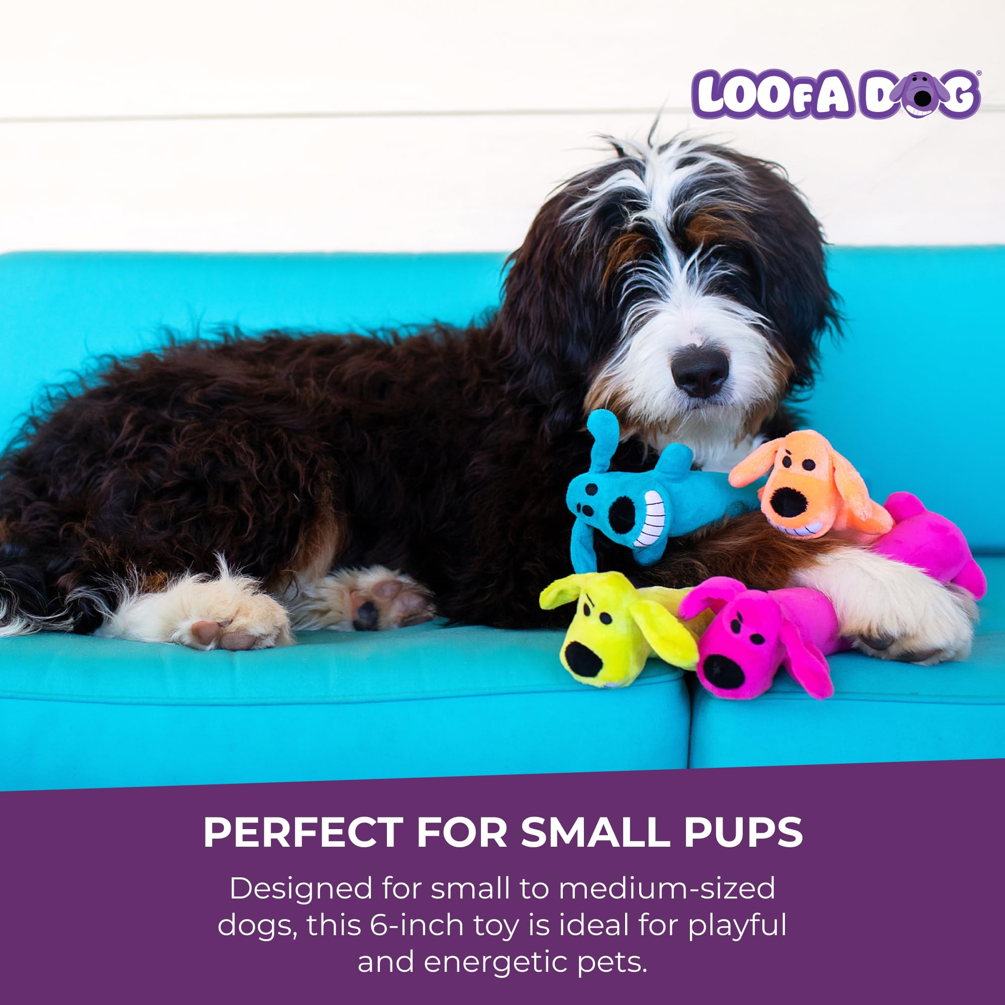 Multipet Doudou Loofa Chien Peluche Usage Quotidien, parfait pour câlins et jeux.