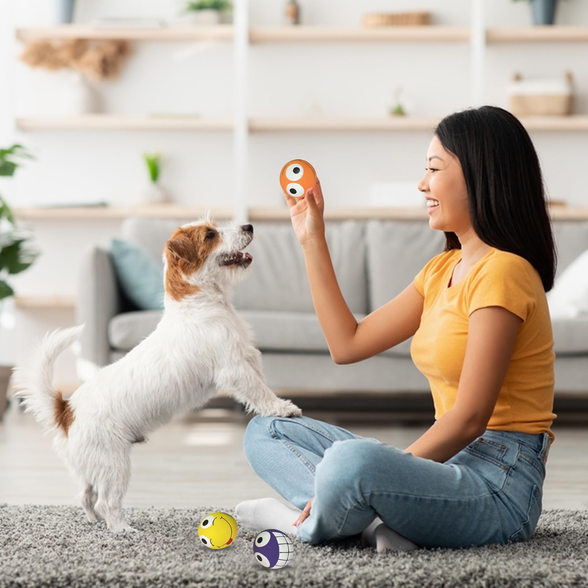 Multipet Jeu interactif : stimule l'instinct de poursuite chez le chien.