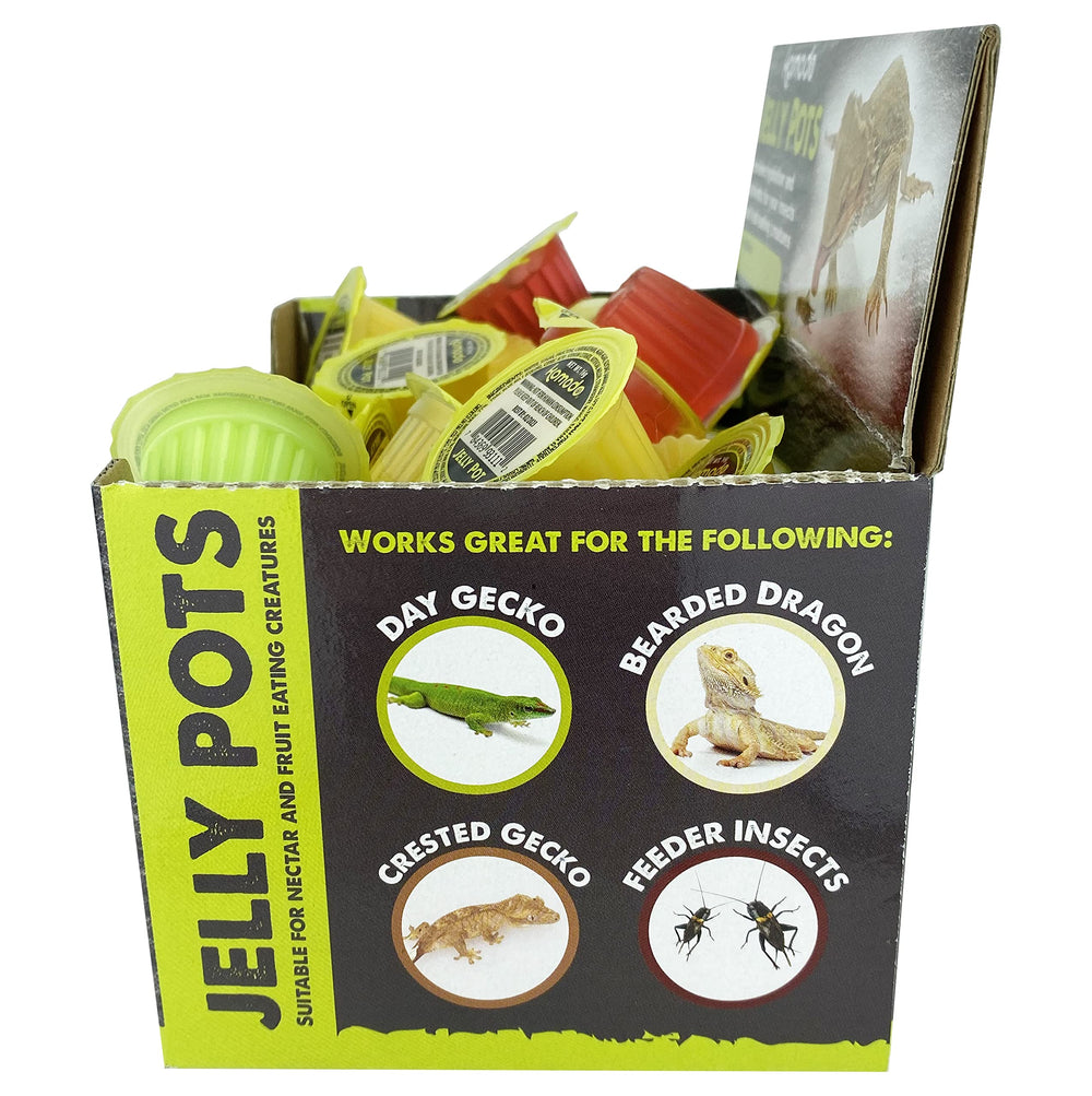 Gelée Komodo Multipet fruit melon, option pratique pour nourrir les geckos.