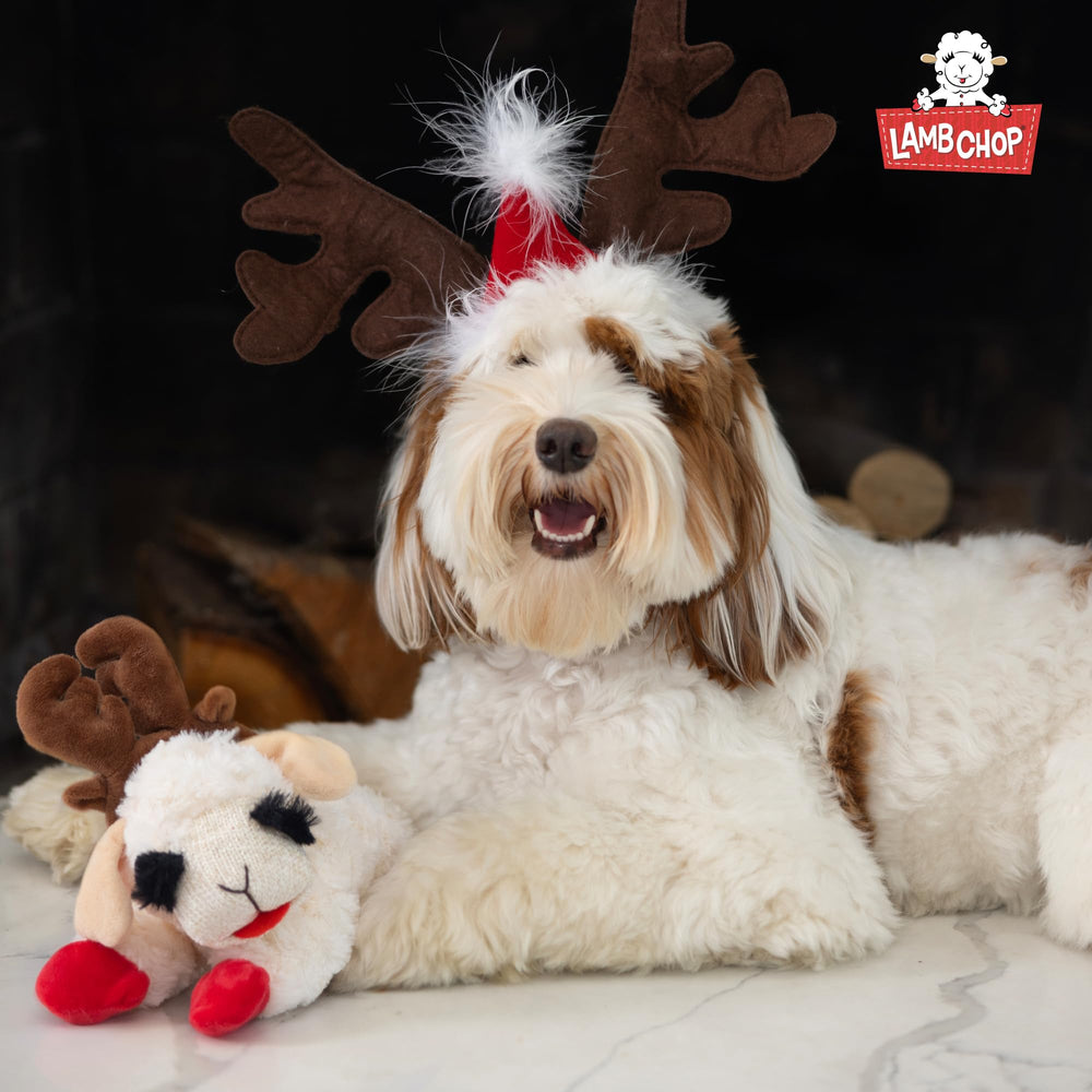 Lamb Chop Multipet peluche sûre pour jeux et caresses, facile à manipuler.
