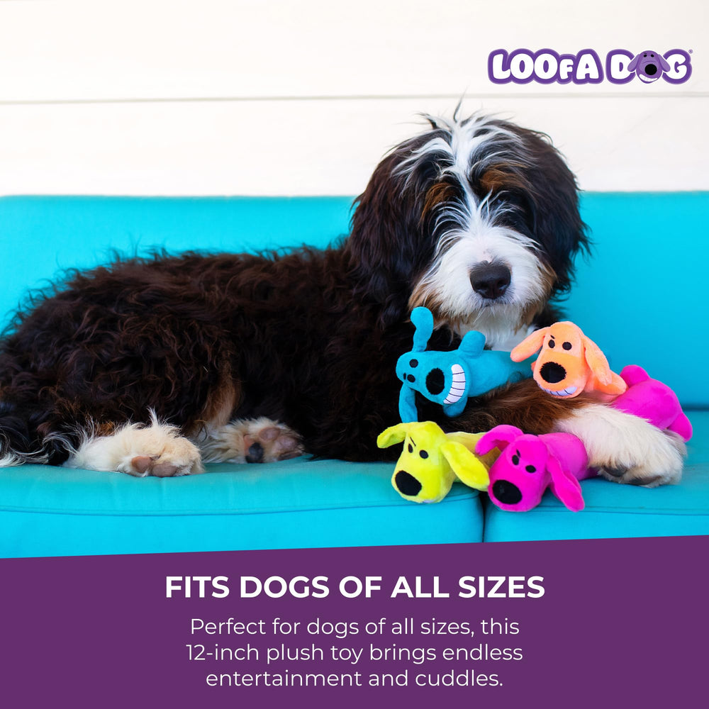 Multipet Loofa pour chien, parfait pour calins et jeux.