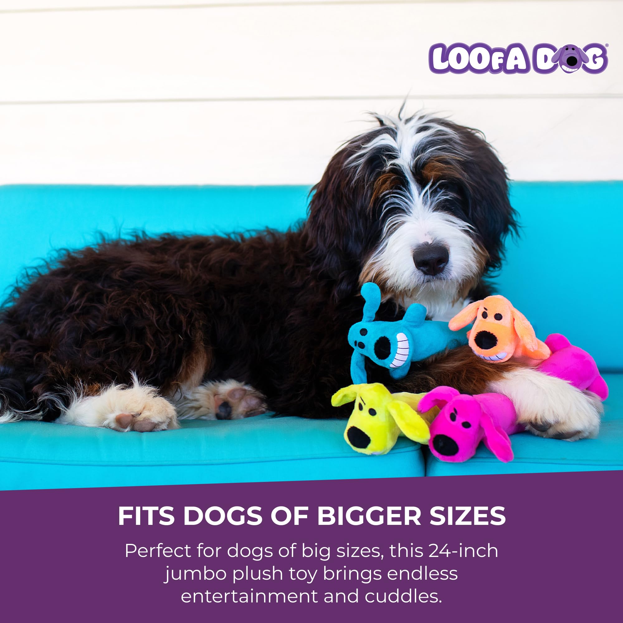Jouet Loofa Multipet pour chiens actifs, parfait pour le câlinage après la promenade.