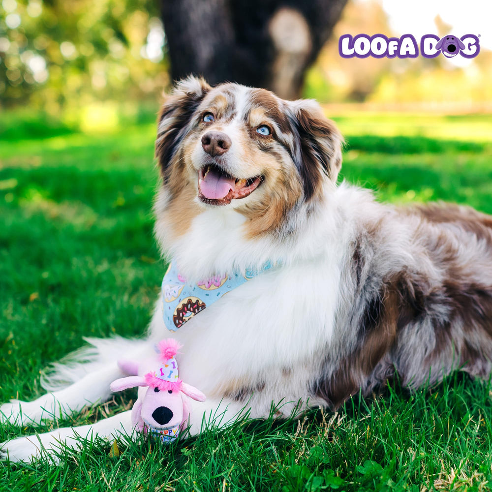 Peluche multipet loofa-dog rose avec chapeau anniversaire, cadeau canin festif.