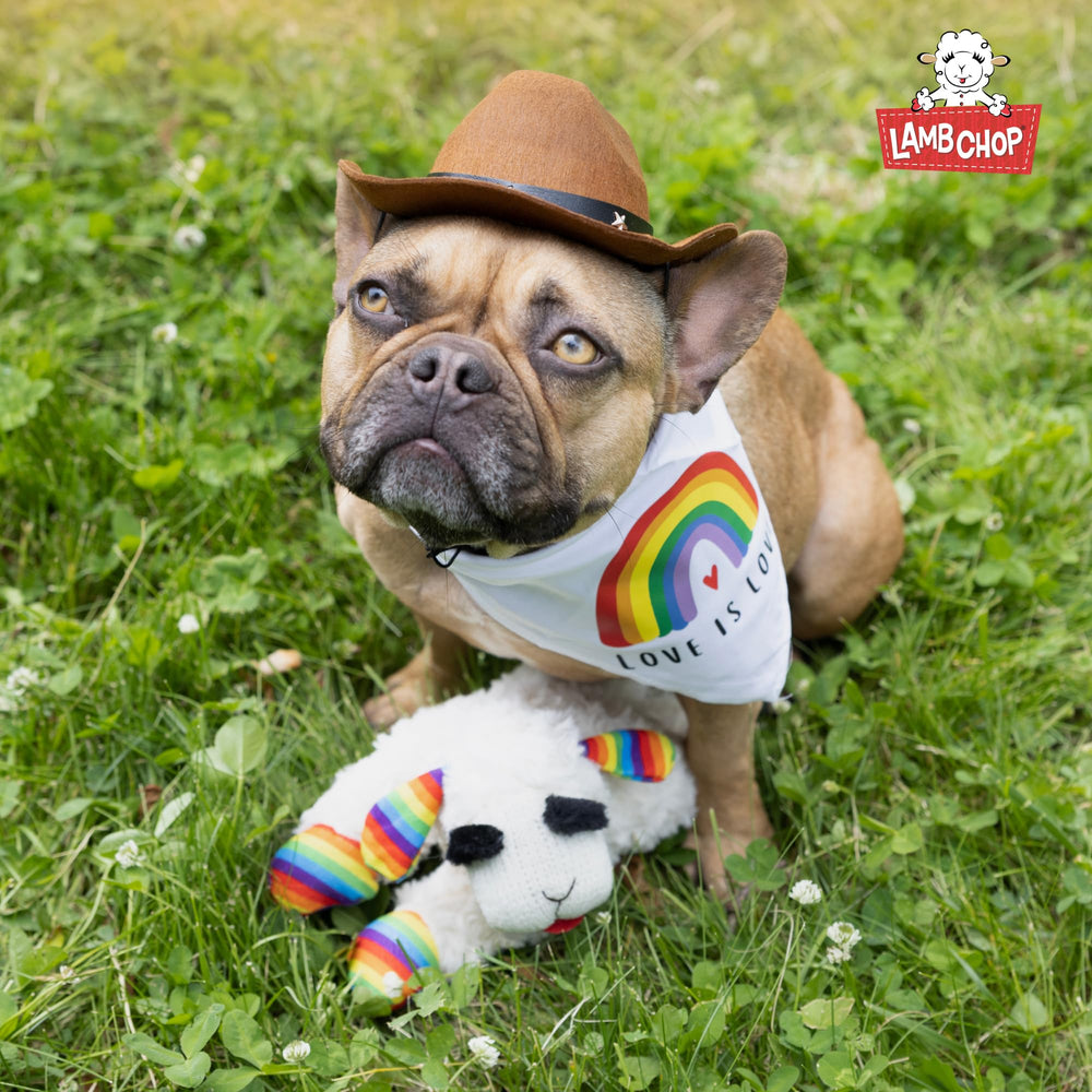 Multipet peluche taille dix point cinq pouces, facile a manipuler par les chiens