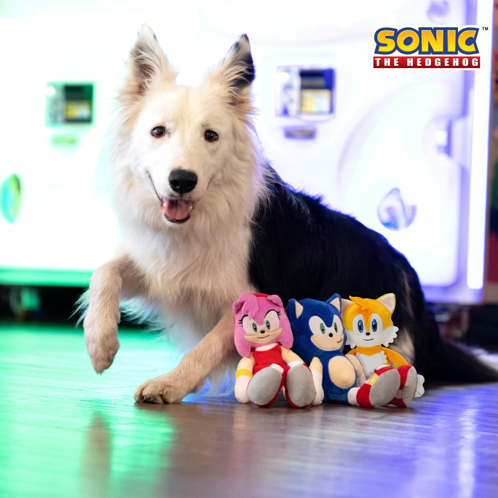 Multipet Sonic Tail emballage prêt à offrir, jouet unique pour chien.