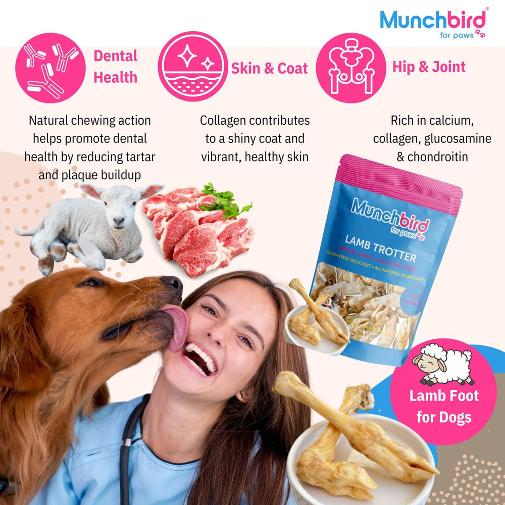 Munchbird Lamb Trotter – petit morceau appétitif parfait comme récompense