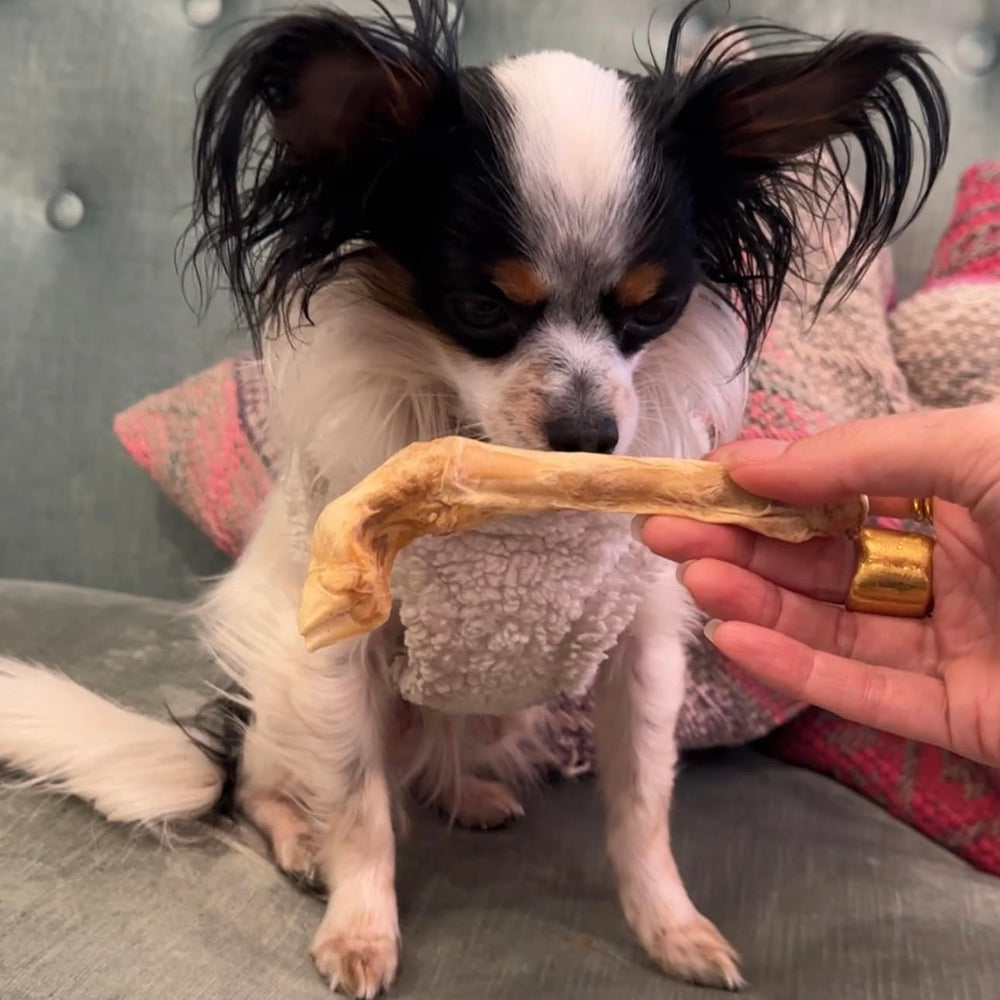 Munchbird Lamb Trotter – sans rawhide, alternative sûre pour chiens sensibles