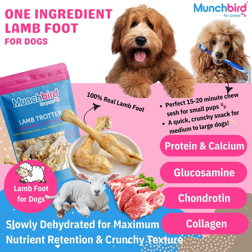 Munchbird Lamb Trotter – tableau des ingrédients, protéines et nutriments