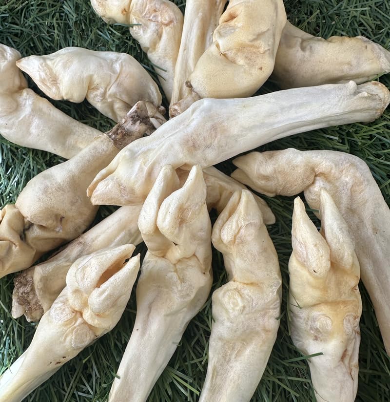 Munchbird Lamb Trotter – idéal pour entraînement et récompense quotidienne