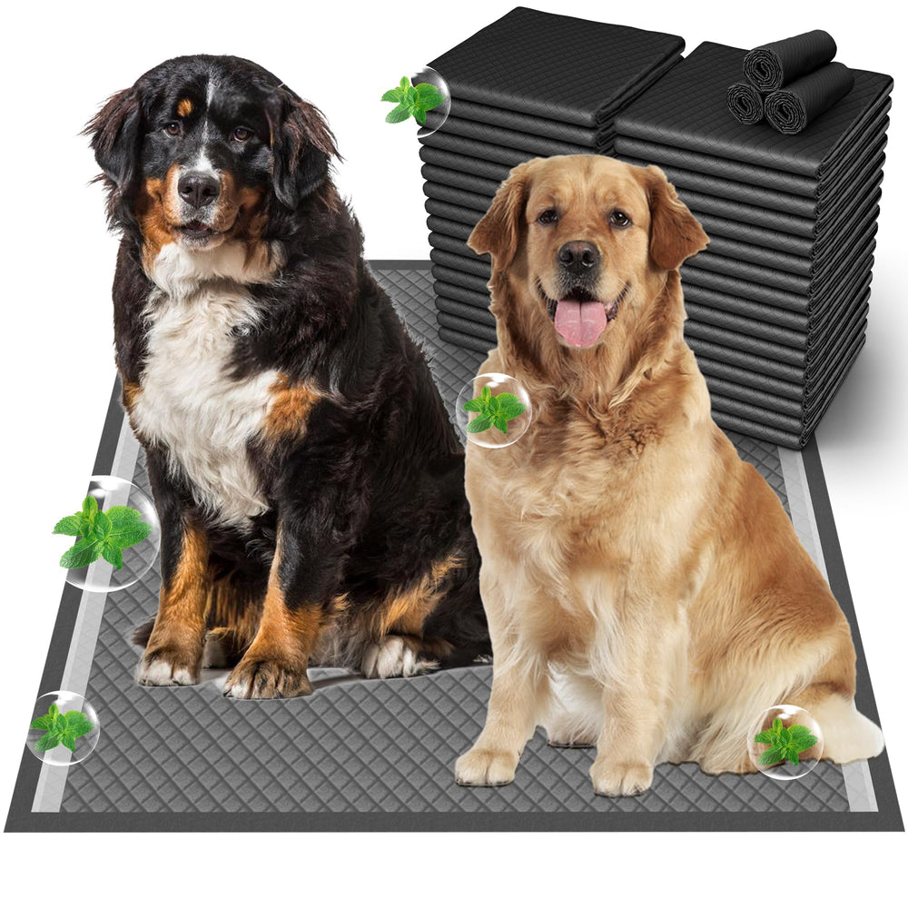 Munoci tapis-pipi chien 37x54 extra-large, grande surface adaptée pour grands chiens.
