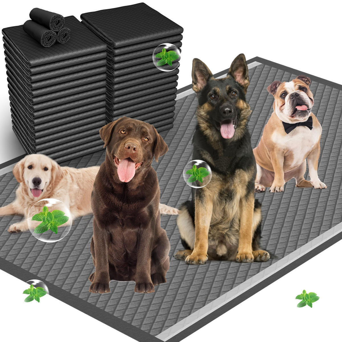 Munoci tapis-pipi chien charbon actif, contrôle d'odeur durable.