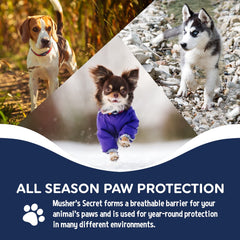 Application Mushers Secret sur patte chien — soin doux et agréable.