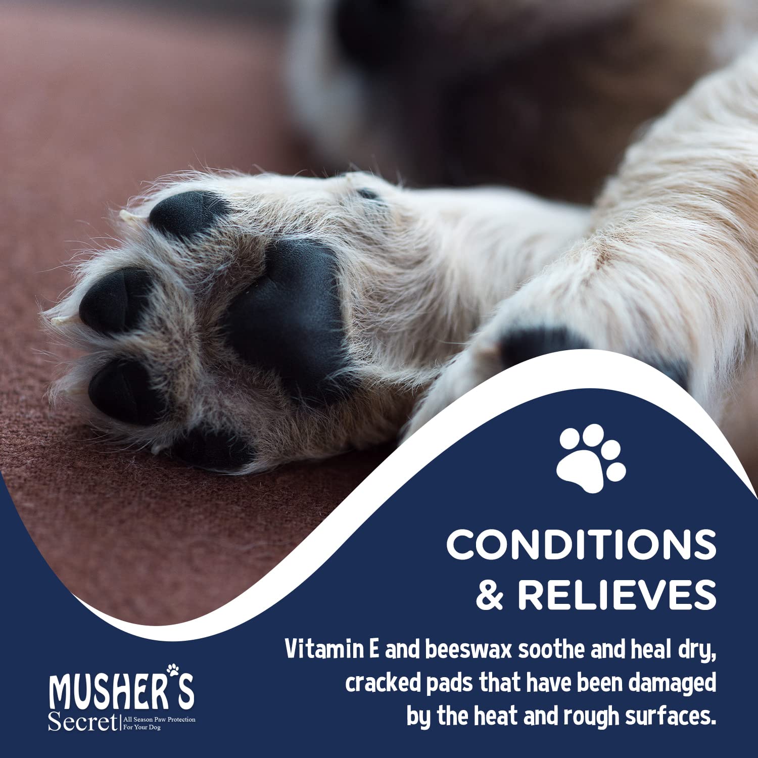 Hydratation Mushers Secret pour patte chien — soin nourrissant.