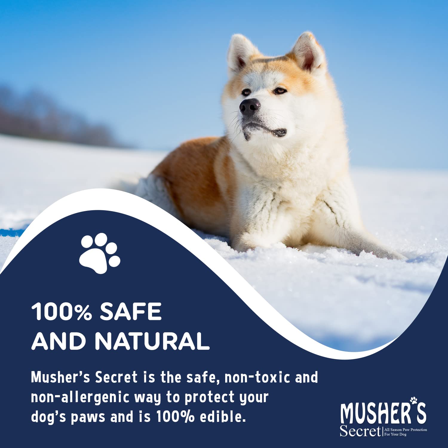 Protection hivernale Mushers Secret pour patte chien — ideal en hiver.