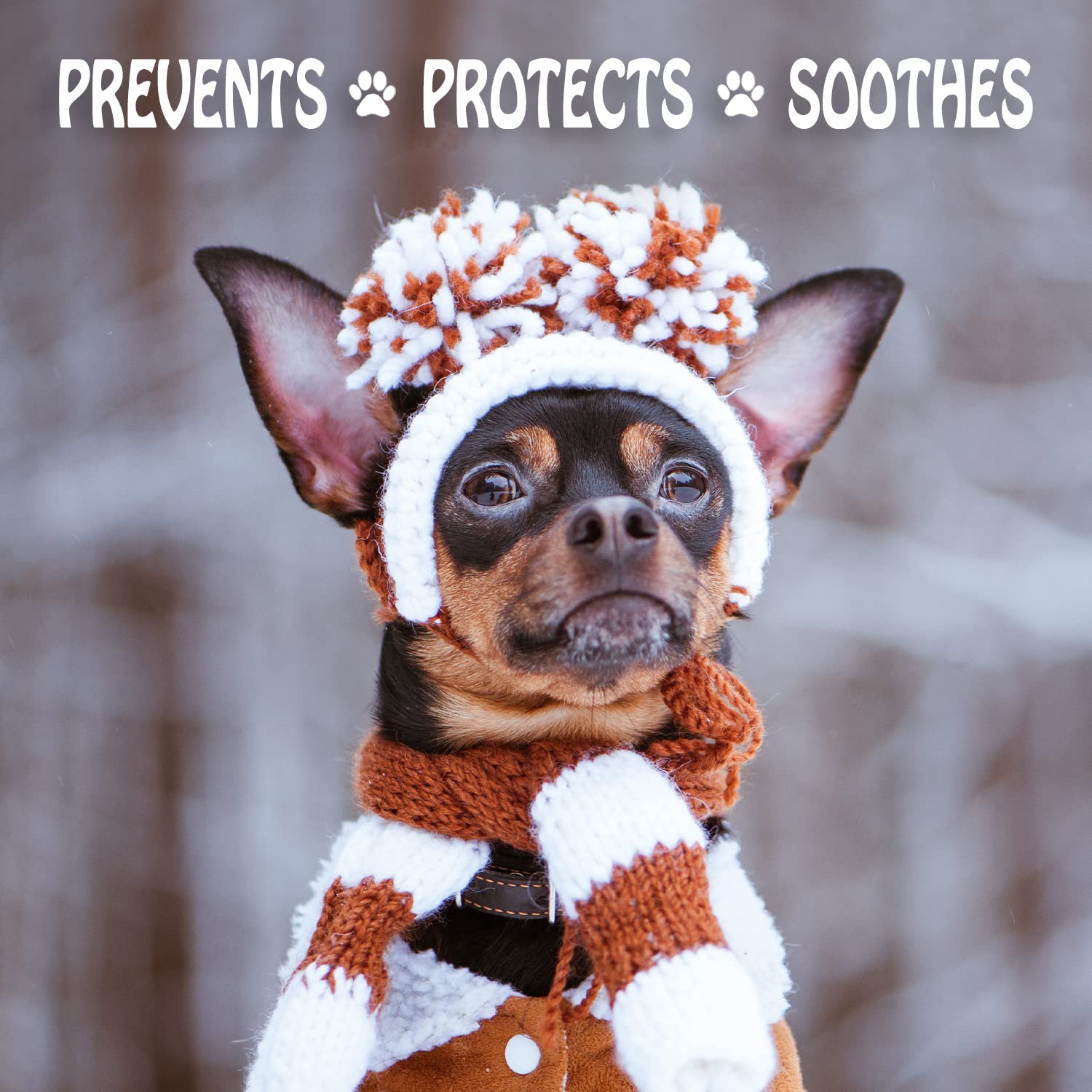 Protection invisible Mushers Secret pour patte — barrière contre dessèchement.