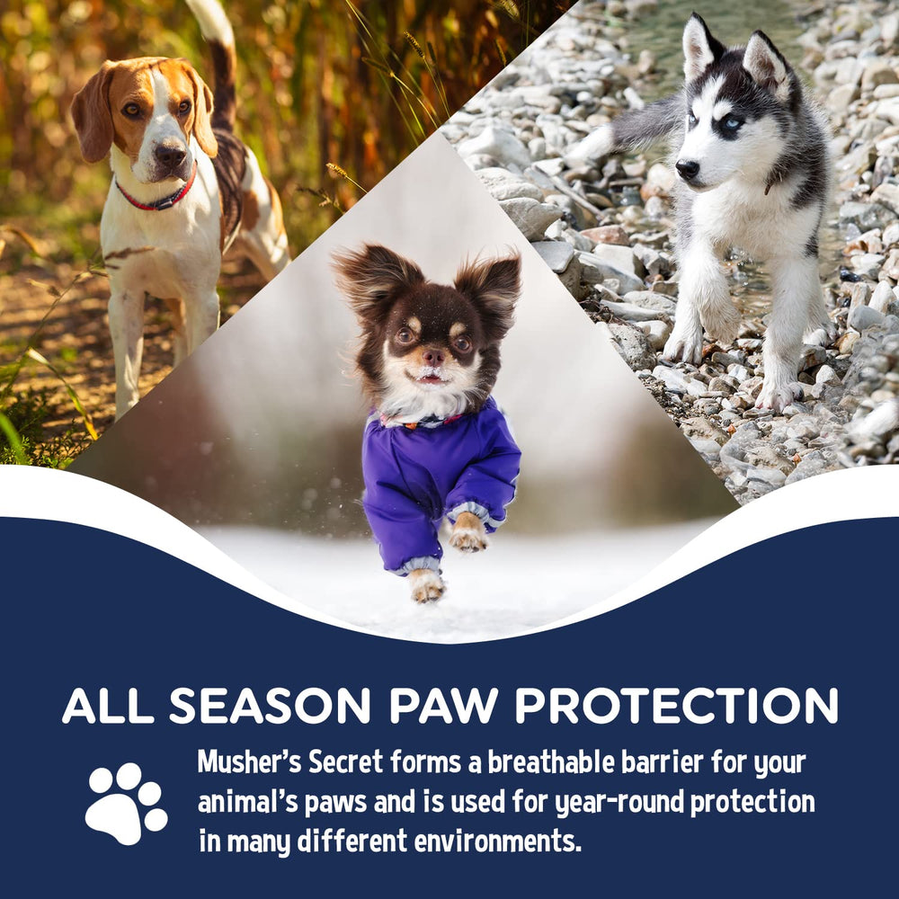 Protection tout au long de l’année pour les pattes du chien sur tous les terrains.