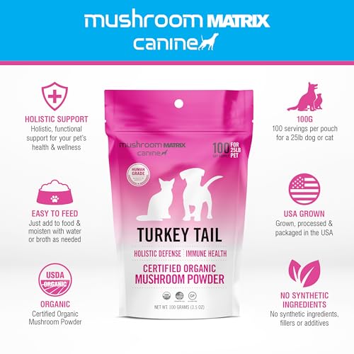 Om Mushroom Matrix Pet Doseur Cuillère, dose précise pour chiens et chats.