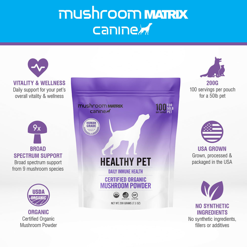 Spatule de dosage Om Mushroom Matrix, préparation pratique pour ajouter le complément.