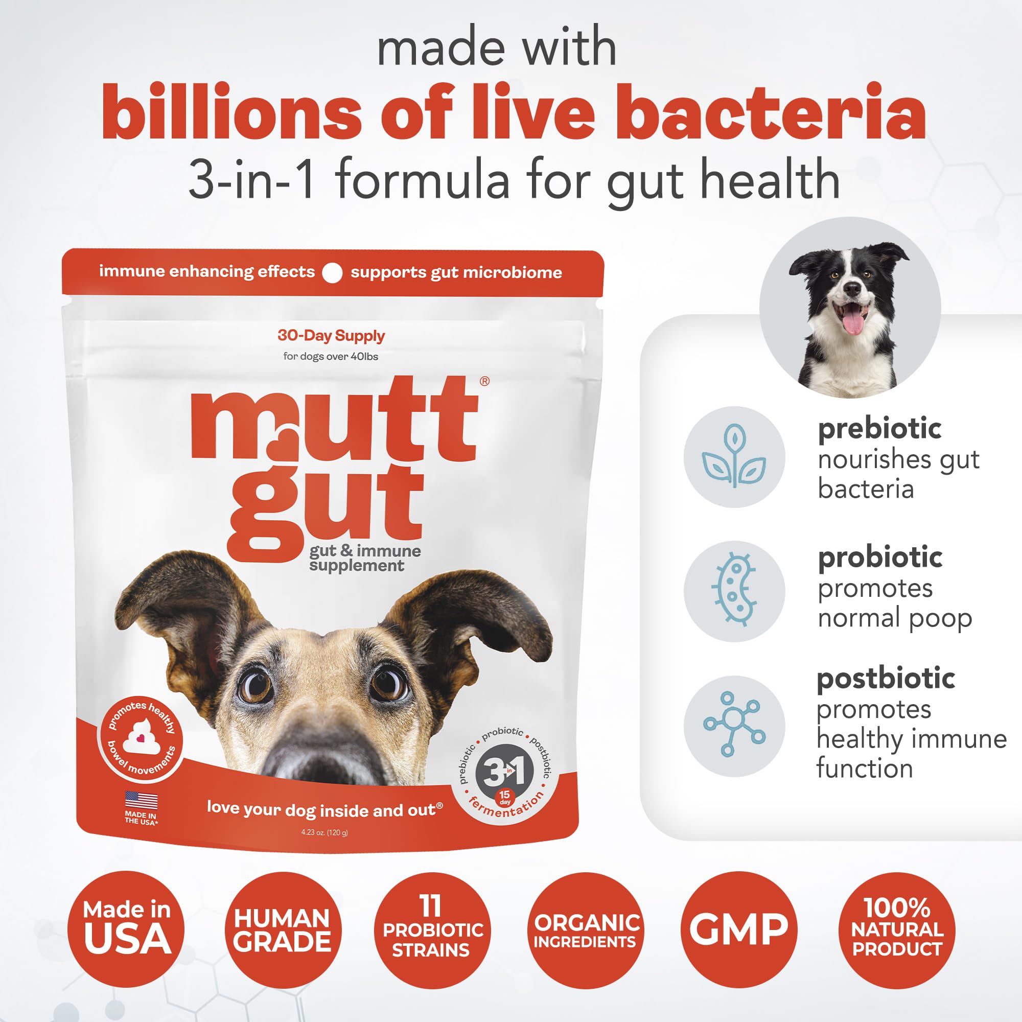 MUTTGUT poudre sur nourriture – goût apprécié par les chiens difficiles et facilite l’ajout.