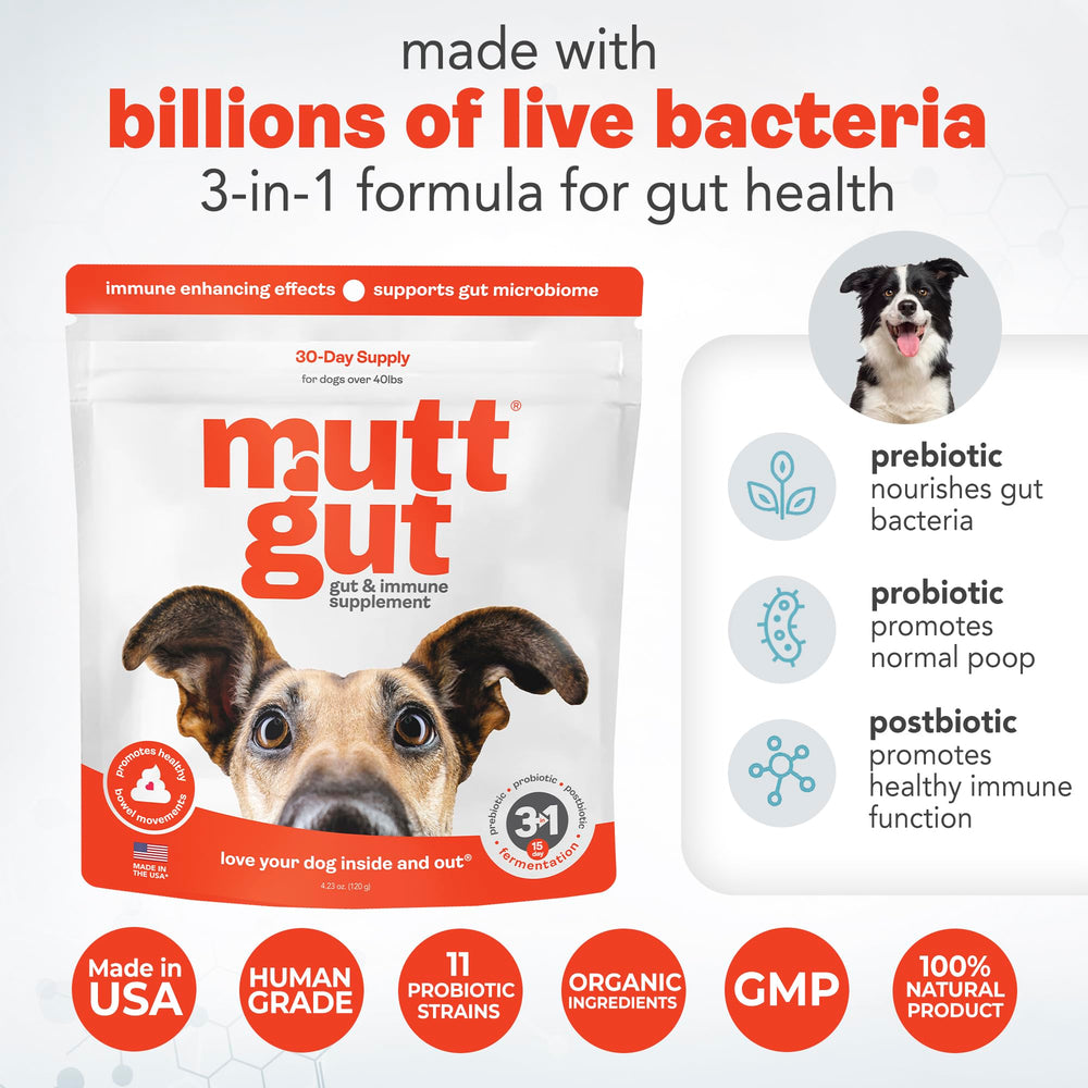 MUTTGUT poudre sur nourriture – goût apprécié par les chiens difficiles et facilite l’ajout.