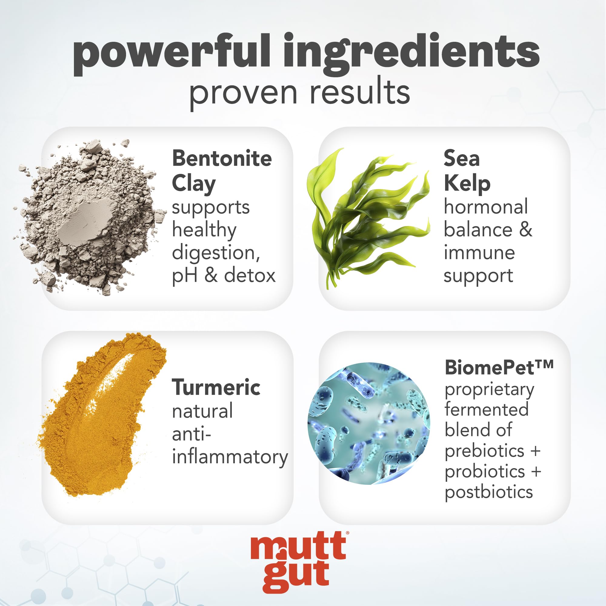 MUTTGUT bouteille – probiotiques chien : soutien potentiel à la flore intestinale et à l’immunité.