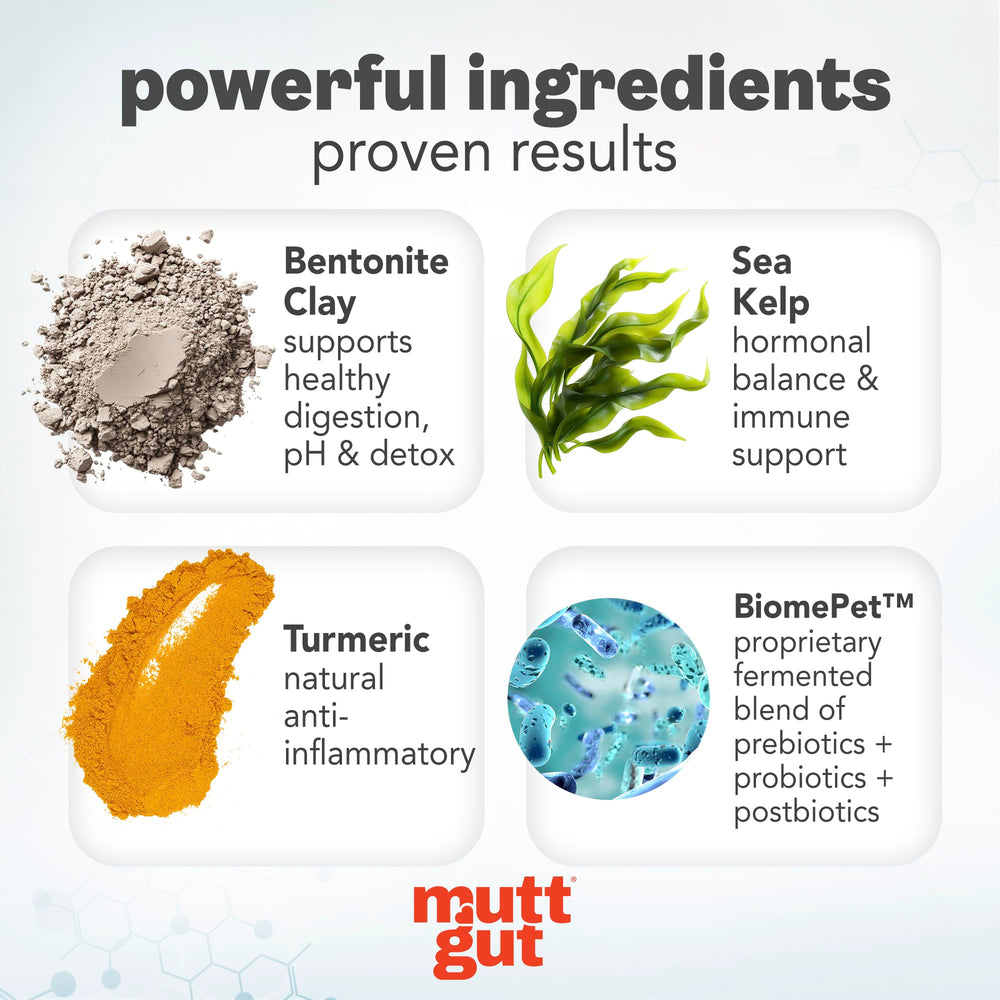 MUTTGUT bouteille – probiotiques chien : soutien potentiel à la flore intestinale et à l’immunité.