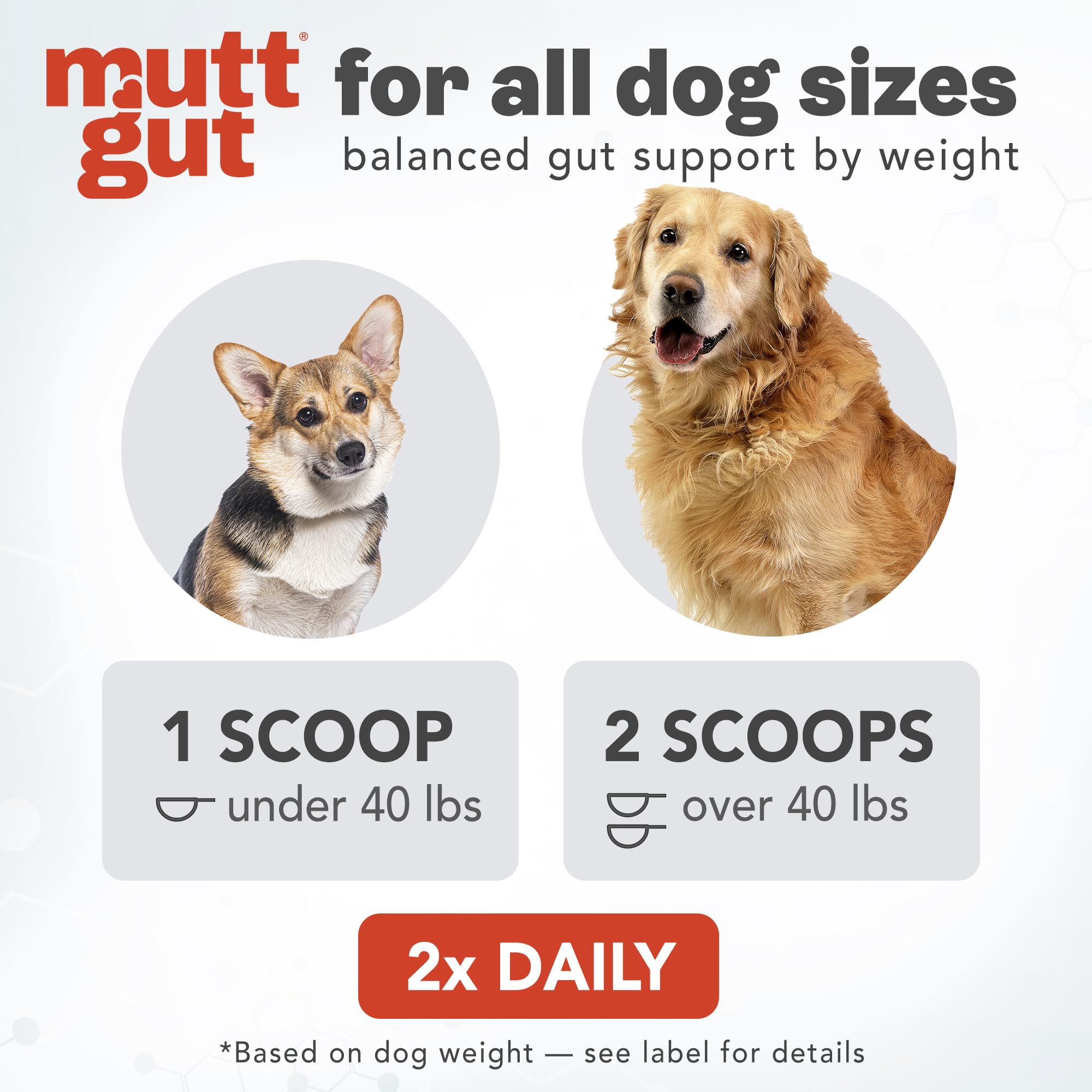 MUTTGUT peau saine – soutien potentiel pour le confort cutané du chien.