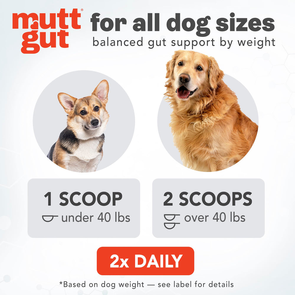 MUTTGUT peau saine – soutien potentiel pour le confort cutané du chien.