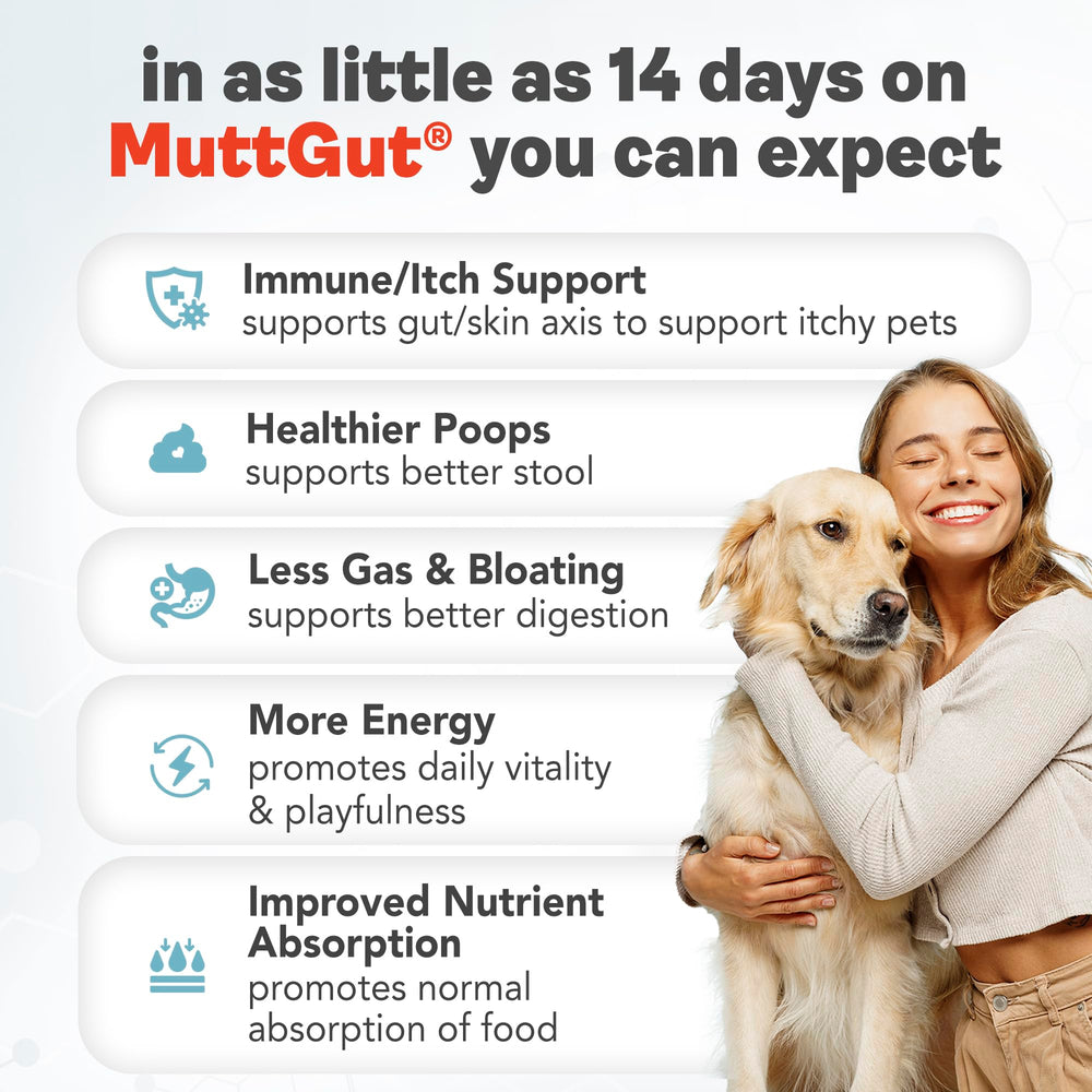 MUTTGUT selles stables – peut aider à des selles plus régulières chez le chien.