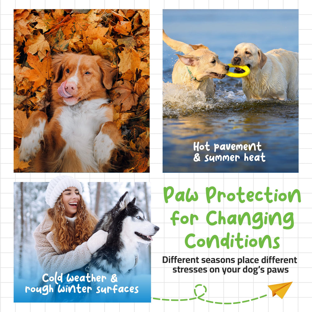 baume-roll-on Muttly pour pattes – protection hiver et été.